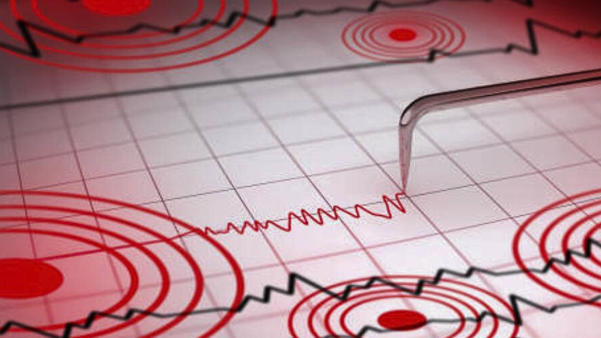 A seismograph screen displays wavy lines in red representing seismic activity on a white grid.
