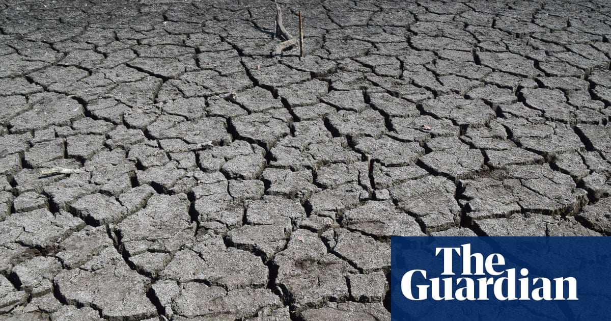 Cracked, parched earth with deep fissures and dried mud, showing severe drought conditions.