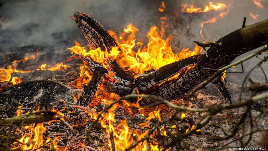 Un fuego intenso consume troncos de madera, con llamas amarillas y naranjas brillantes rodeando la madera carbonizada.