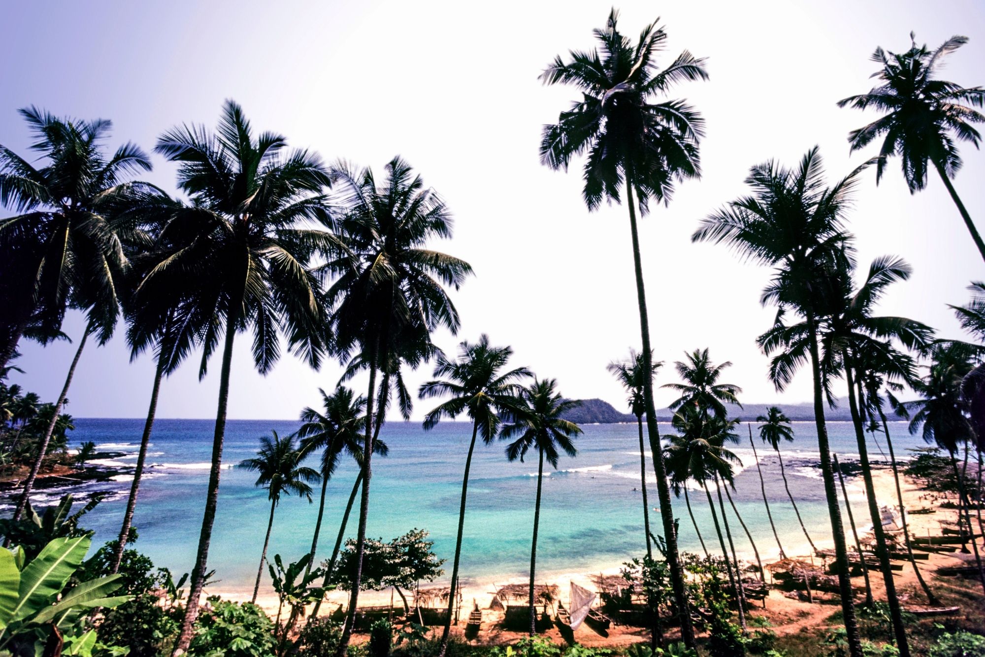 Tropical beach with turquoise waters surrounded by tall palm trees, white sand and coastal vegetation, with islands visible on the horizon beneath a clear sky.