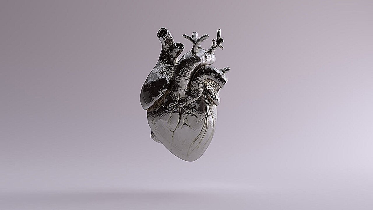 Una escultura de plata de un corazón humano anatómico con venas y arterias visibles, sobre un fondo gris lavanda.