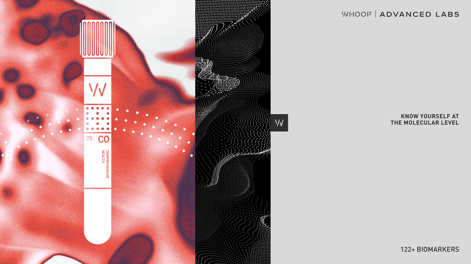 A marketing image showing a white and red blood test tube with the Whoop logo next to magnified red blood cells and digital data patterns in black.