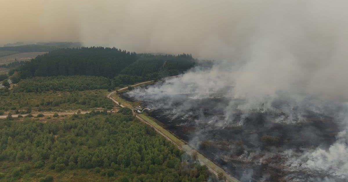 Vista aérea de un extenso incendio forestal con humo blanco y gris que se eleva sobre un bosque de coníferas, separado de la zona boscosa sin quemar por una franja de tierra quemada.