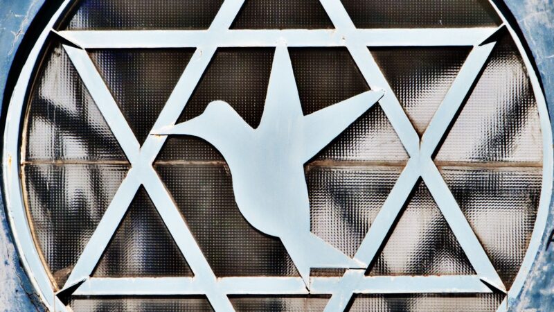 A white dove symbol is painted on a mesh security gate, with geometric X-pattern divisions creating a fragmented appearance.