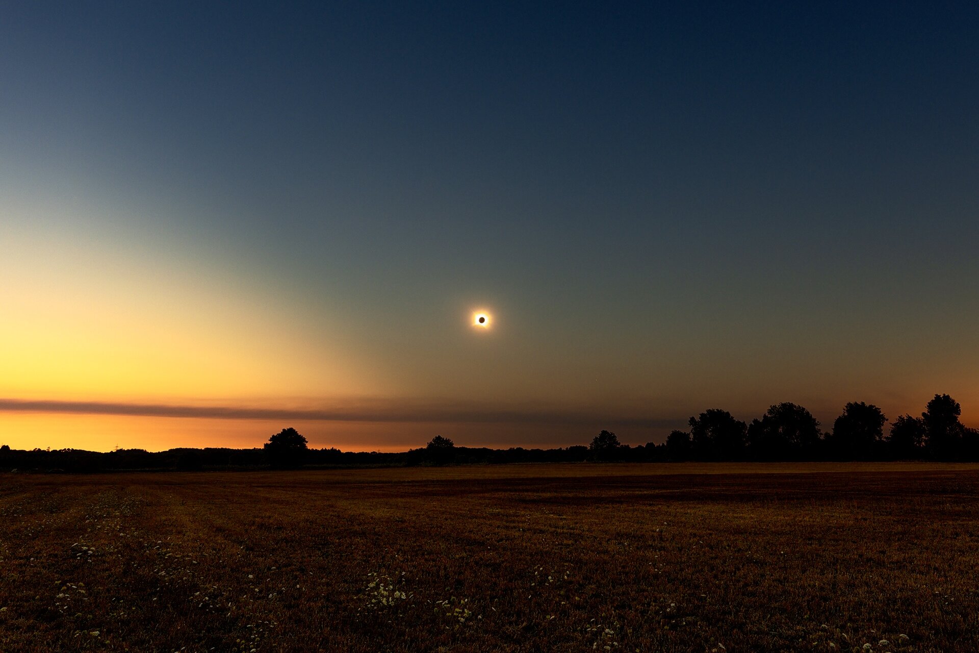 A total solar eclipse with the moon completely blocking the sun, showing the sun's corona, observed from a flat rural landscape at dusk with trees silhouetted on the horizon.