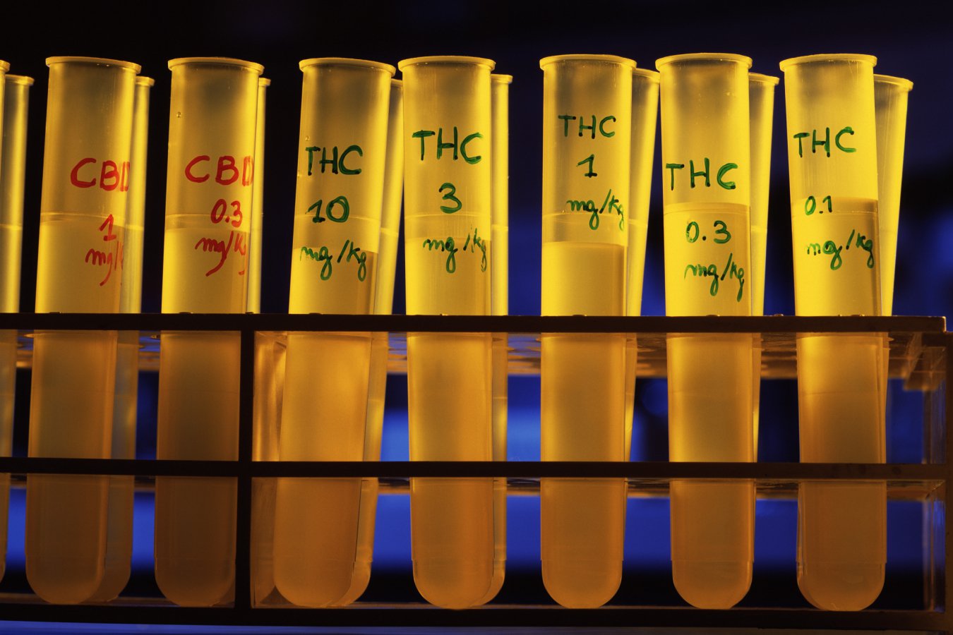 Vials of golden liquid labelled with different cannabinoid compounds including CBD and THC at varying concentrations, arranged on shelves against a dark blue background.