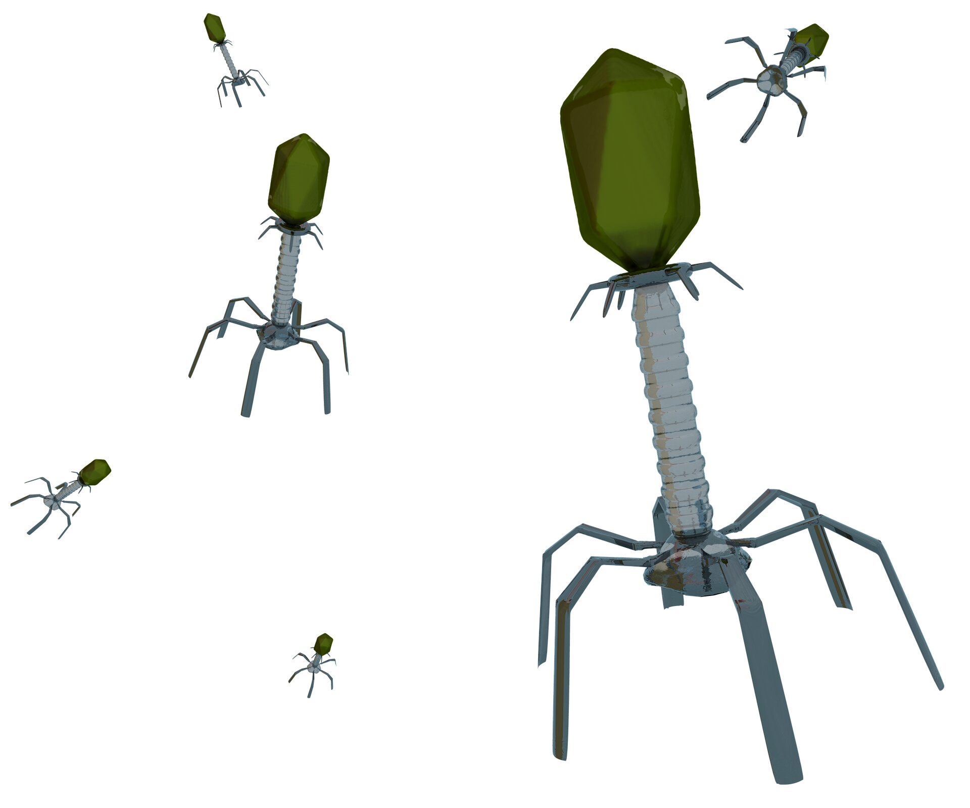 A digital illustration shows bacteriophages of different sizes, with bodies in the shape of green polygons connected to thin blue-grey coloured legs.