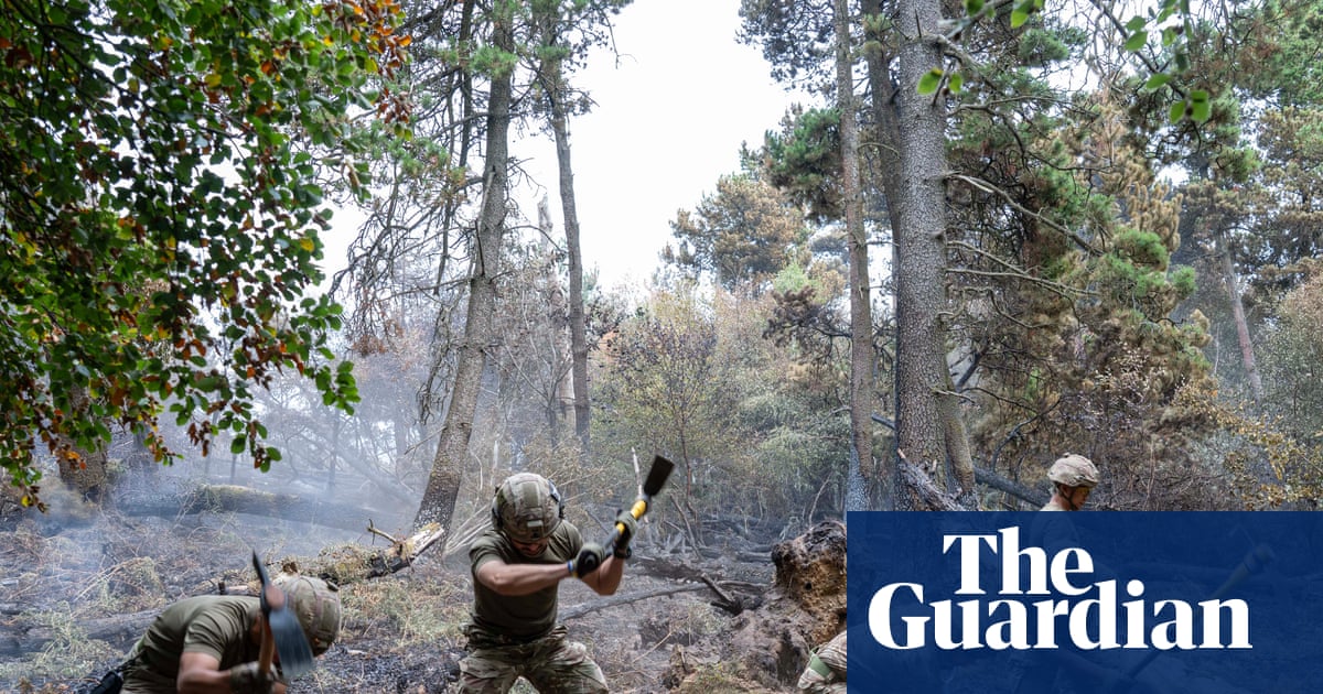 Firefighters in military uniforms work to control a forest fire, using axes and tools among tall pine trees with smoke visible in the background.