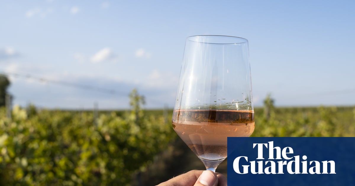 Una mano sostiene una copa de vino rosado contra un viñedo verde bajo un cielo azul despejado.