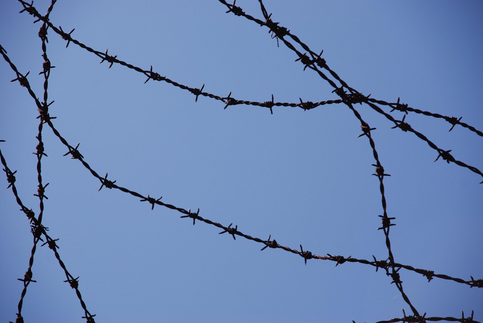 Barbed wire strands with sharp barbs silhouetted against a clear blue sky.