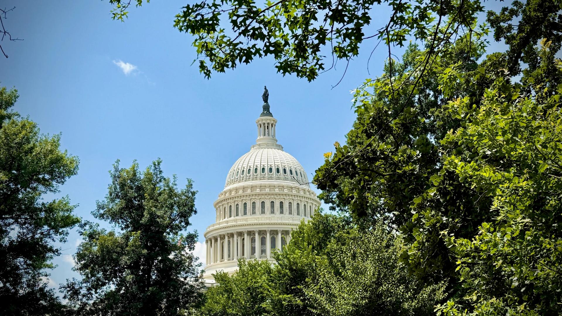 El domo del Capitolio de Estados Unidos visible a través de la follaje verde de los árboles bajo un cielo azul despejado.